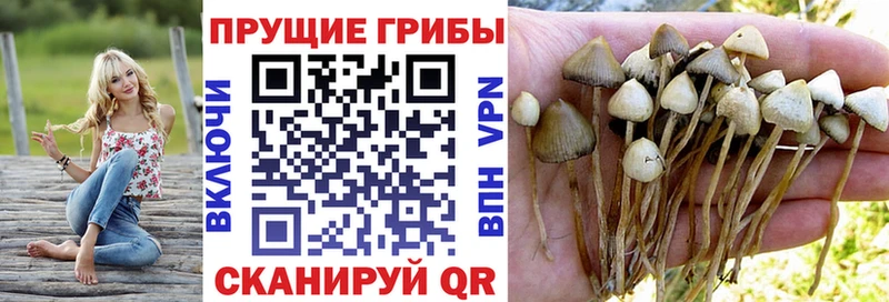 Псилоцибиновые грибы прущие грибы Высоковск